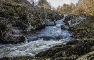 Rocks of Solitude