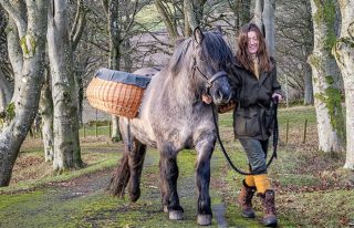 Kinclune Farm Experiences