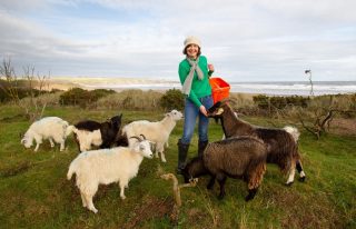 Lunan Bay Farm - Scottish Cashmere Experience