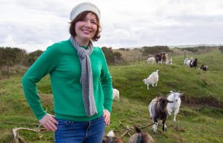 Lunan Bay Farm - Scottish Cashmere Goats