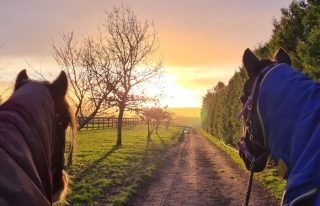 Pathhead Equestrian Centre
