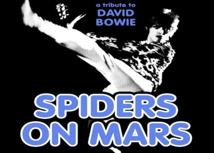 Spiders On Mars